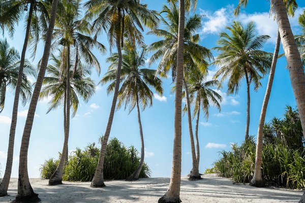 Location utilitaire à lyon : un choix pratique et économique